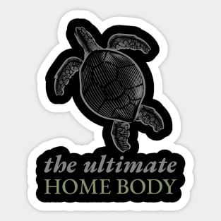 turtles Sticker